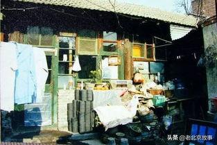 大杂院快乐吃瓜日常,大杂院里的欢乐瓜果时光