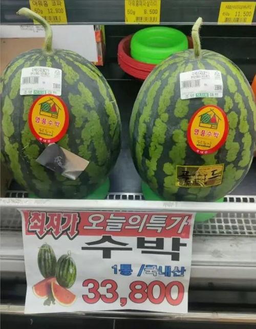 吃大席吃瓜博主,揭秘吃大席吃瓜博主的美食之旅