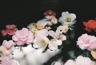 落花吃瓜结局后续,结局后的爱恨纠葛