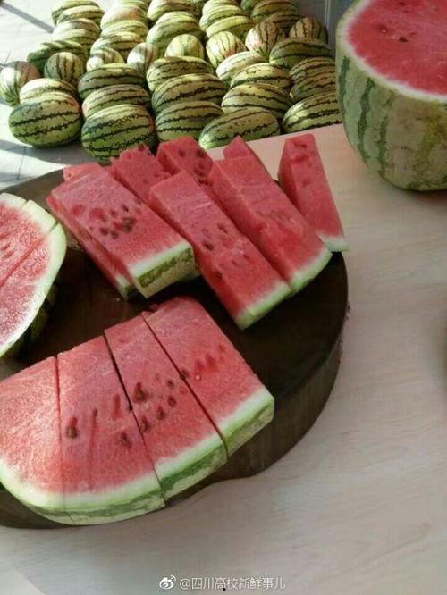 吃瓜最新成都,探寻美食与娱乐的完美融合